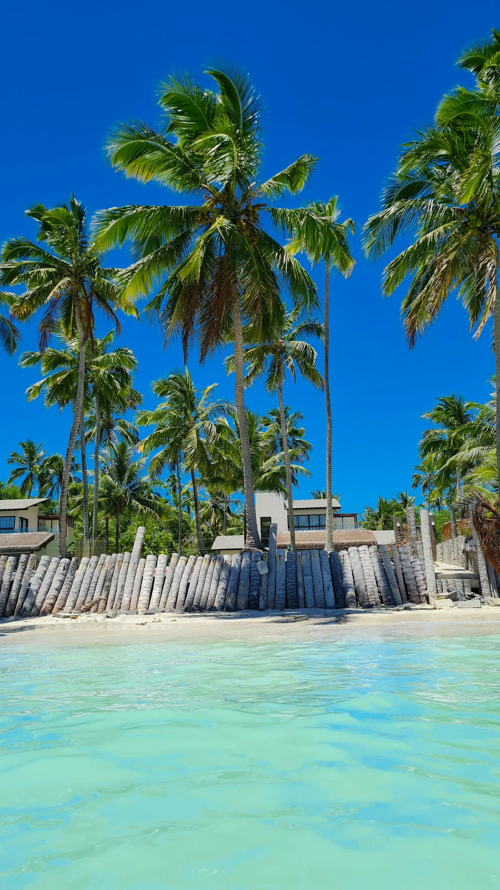 Maragogi · Brasil